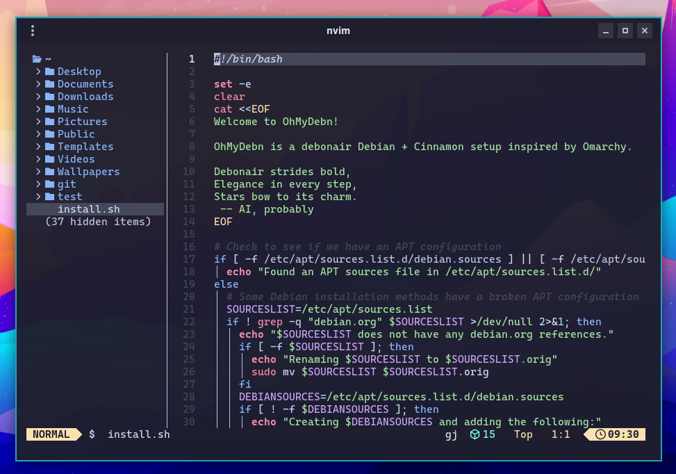 OhMyDebn Neovim screenshot